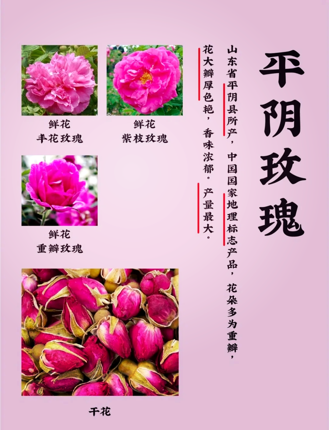 四大险企前三季度业绩大幅预增 均创历年同期盈利新纪录