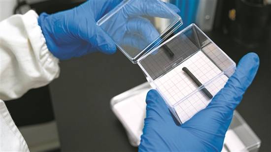 四大险企前三季度业绩大幅预增 均创历年同期盈利新纪录