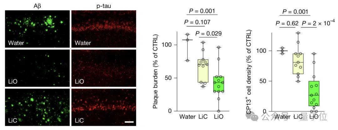 机构频频调研人形机器人概念 相关公司：有望持续受益